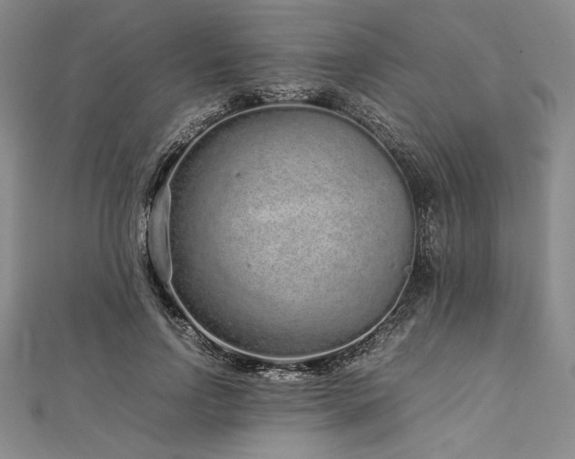 X0000113010742200908271408