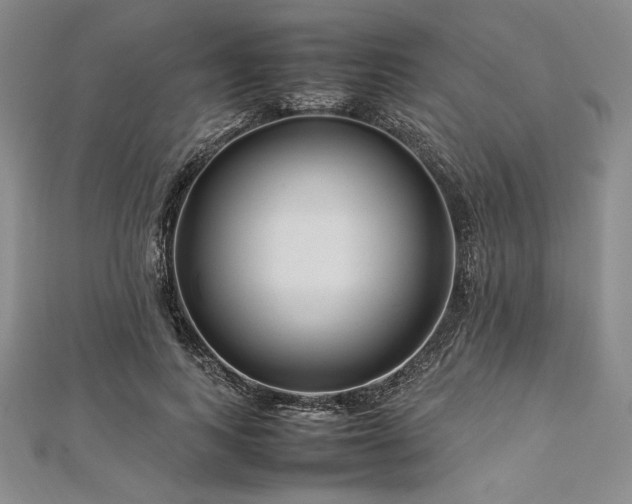 X0000113010743200908271408