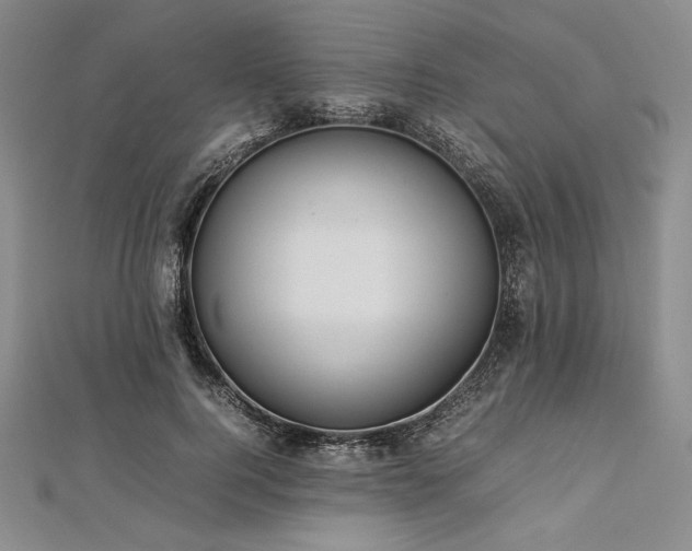 X0000113010744200908271408