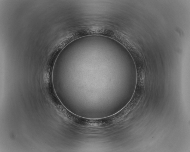 X0000113010746200908271408