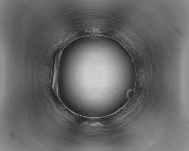 X0000113010747200908271408