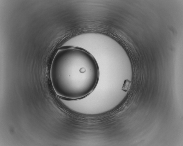 X0000113010748200908271408