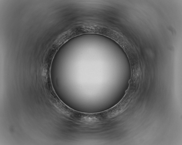 X0000113010749200908271408