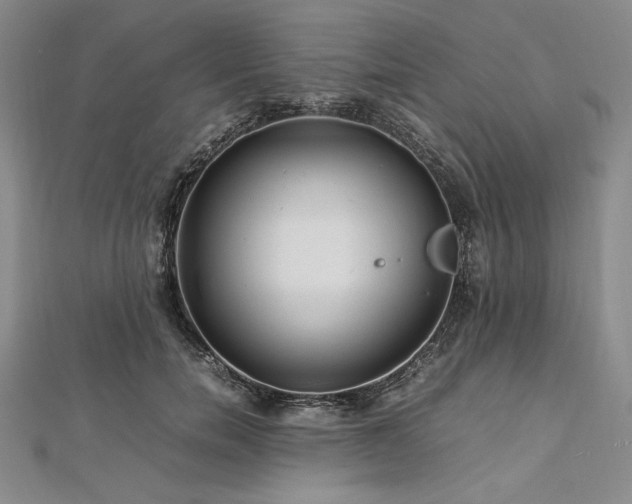 X0000113010750200908271408