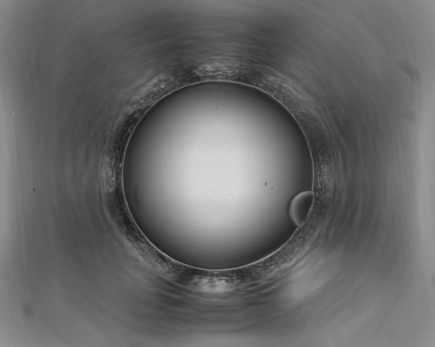 X0000113010751200908271408