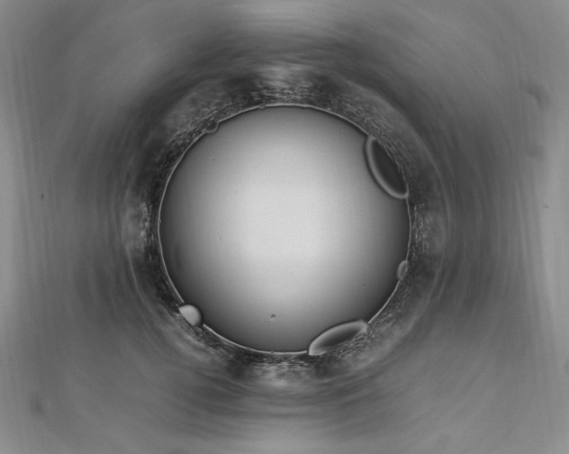 X0000113010752200908271408