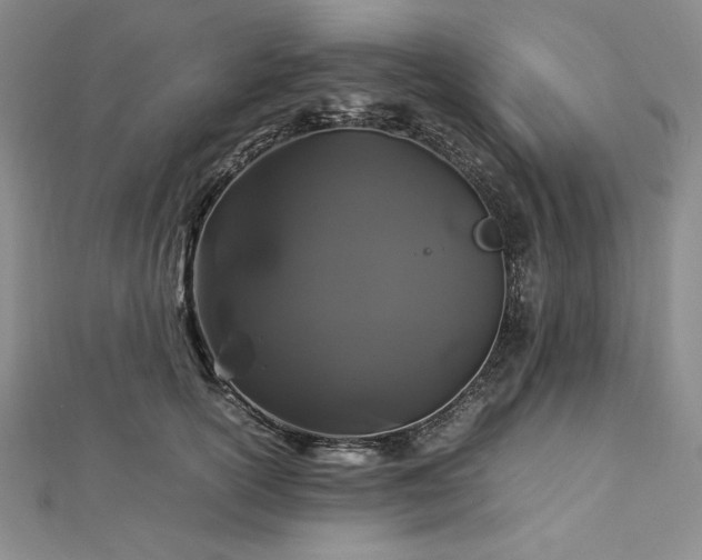 X0000113010754200908271408