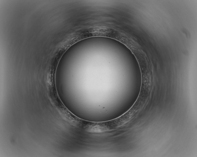 X0000113010755200908271408