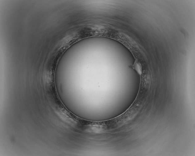 X0000113010756200908271409