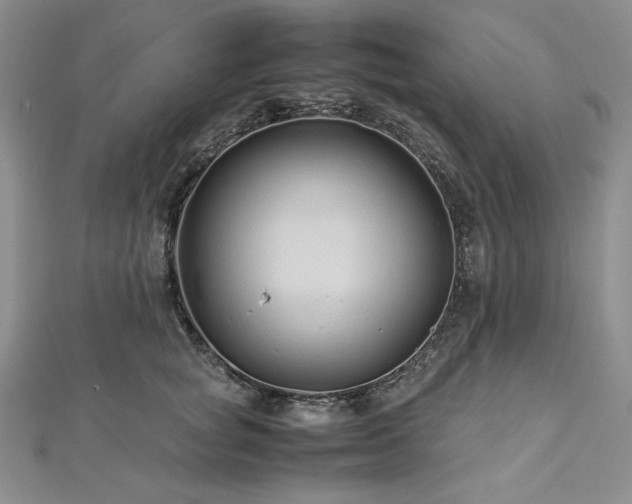 X0000113010757200908271409