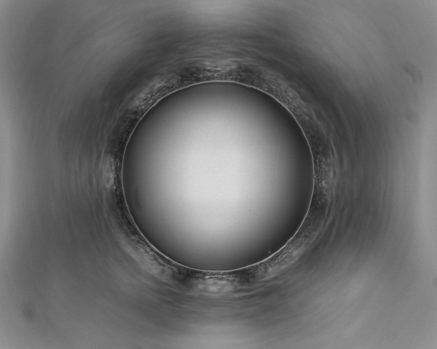 X0000113010758200908271409