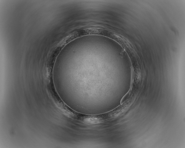 X0000113010759200908271409