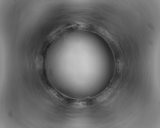 X0000113010760200908271409