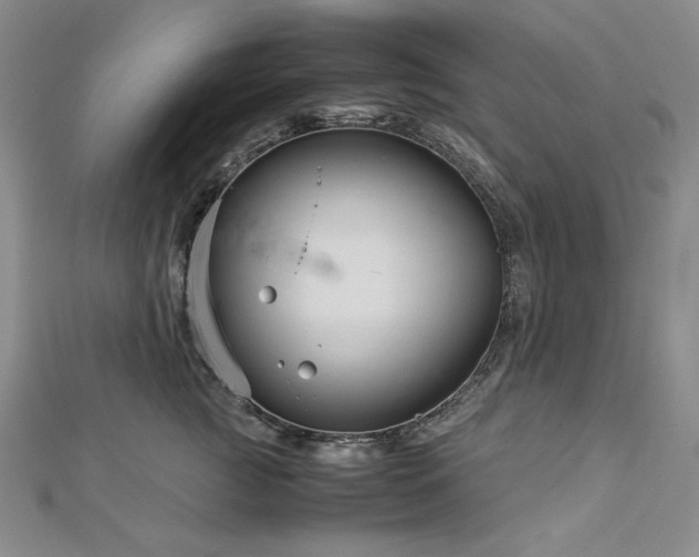 X0000113010761200908271409