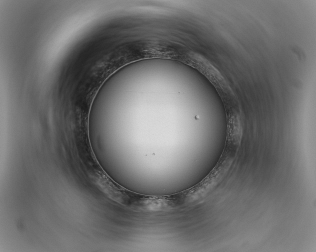 X0000113010762200908271409