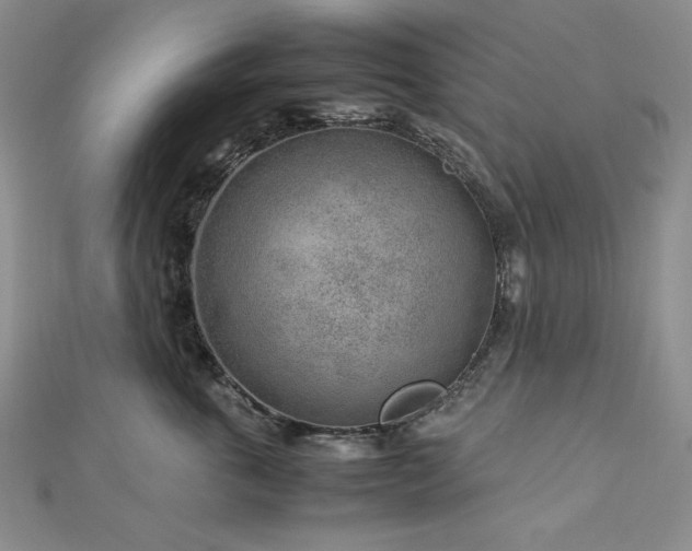 X0000113010763200908271409