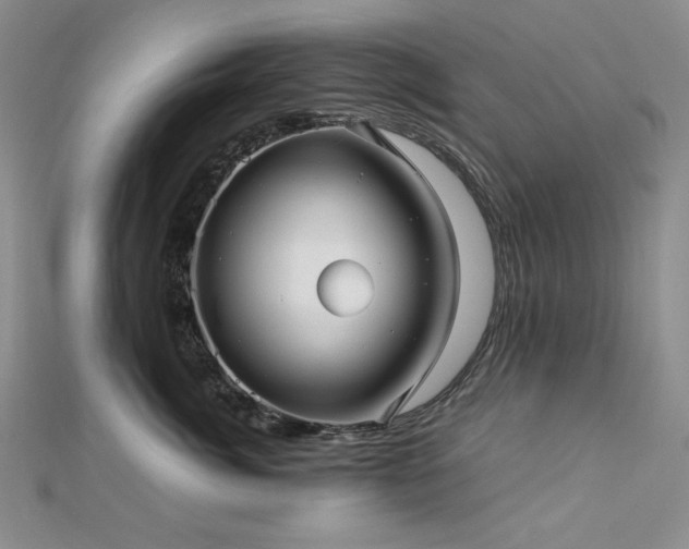 X0000113010764200908271409