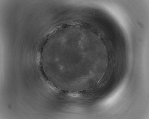 X0000113010767200908271409