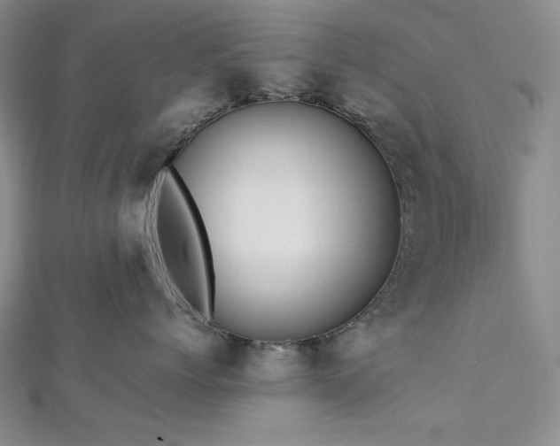 X0000113010768200908271409