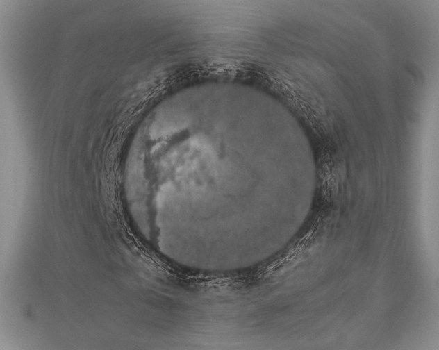 X0000113010769200908271408