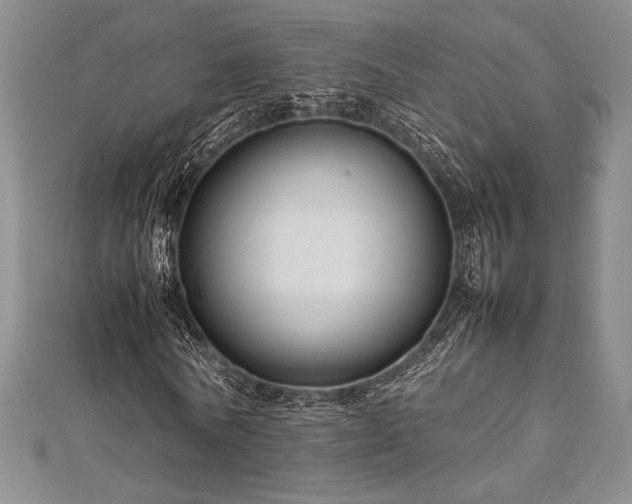 X0000113010770200908271408