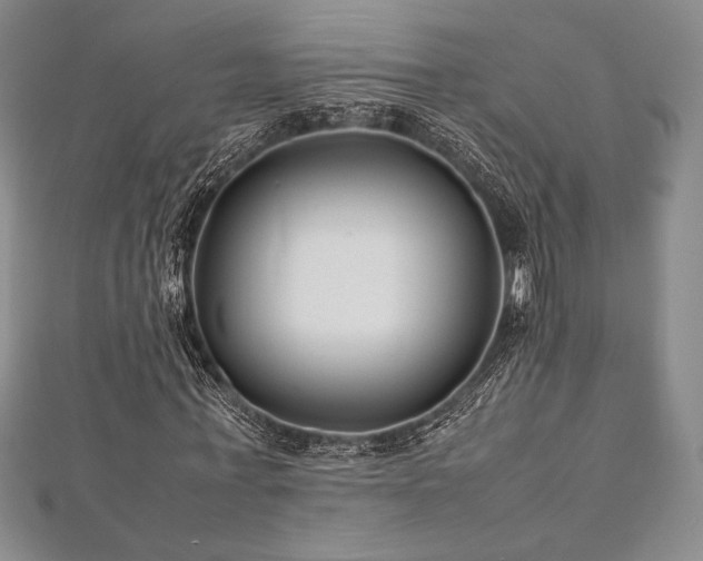 X0000113010771200908271408