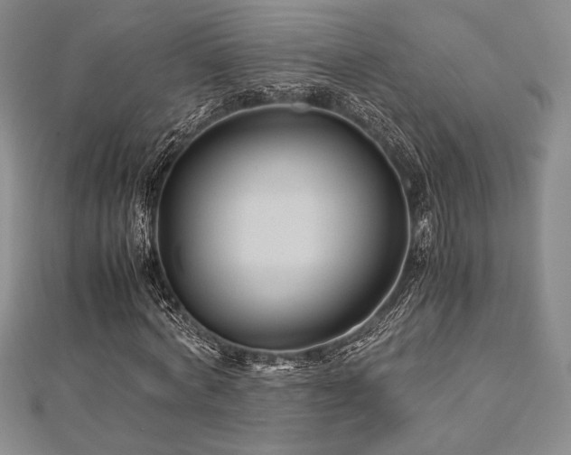 X0000113010772200908271408