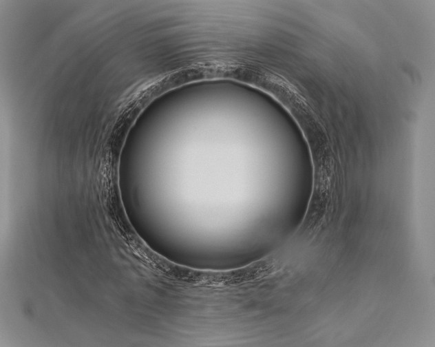 X0000113010773200908271408