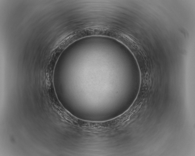 X0000113010774200908271408