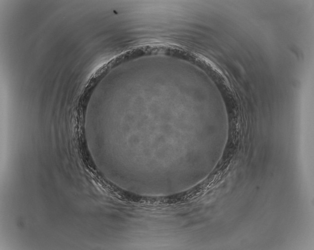 X0000113010775200908271408