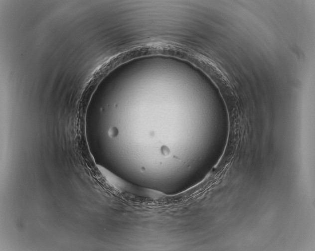 X0000113010776200908271408