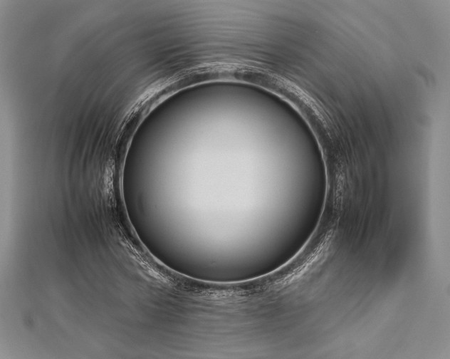 X0000113010778200908271408