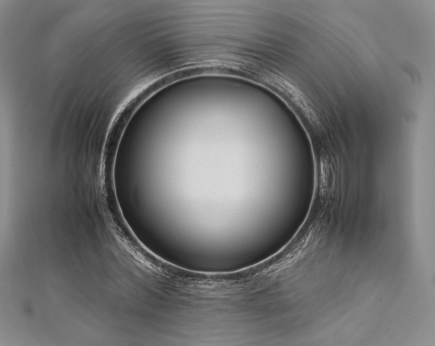 X0000113010780200908271408