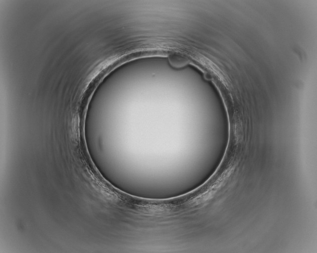 X0000113010781200908271408