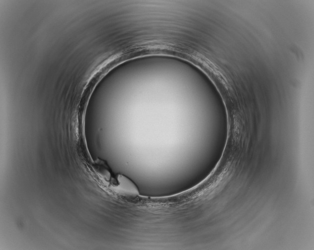 X0000113010782200908271408