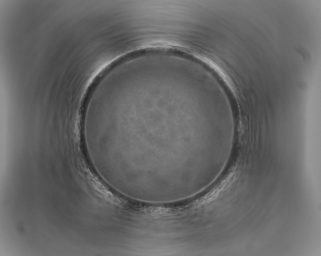 X0000113010783200908271408