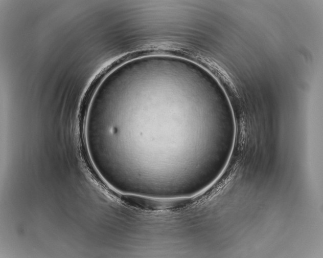 X0000113010784200908271408