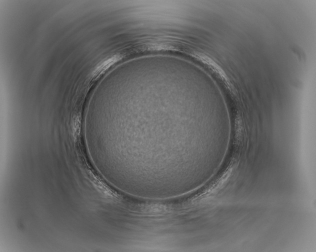 X0000113010785200908271408