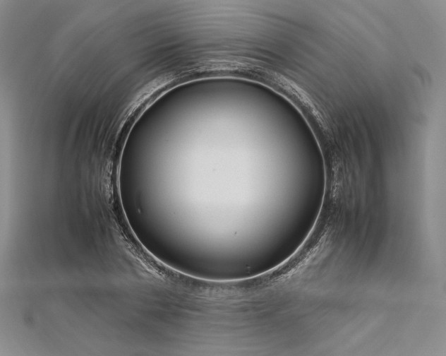 X0000113010786200908271408