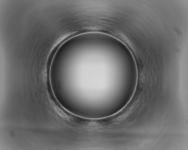 X0000113010787200908271408