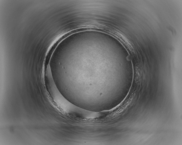 X0000113010788200908271408