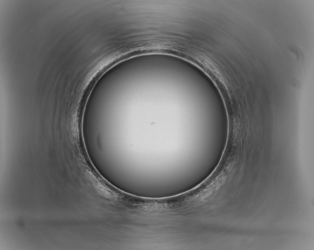 X0000113010789200908271408