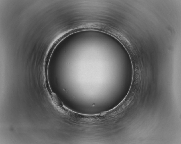 X0000113010792200908271408