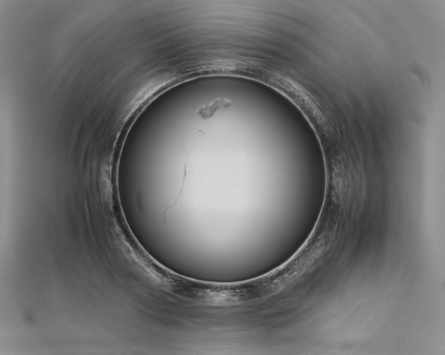 X0000113010794200908271408