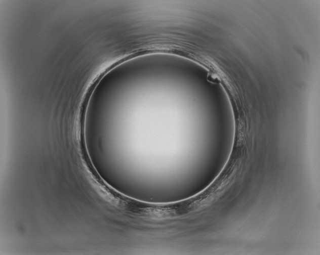 X0000113010795200908271408