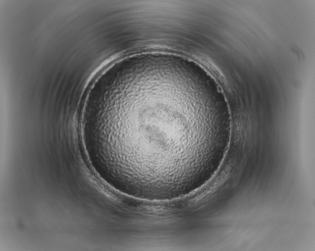 X0000113010798200908271408