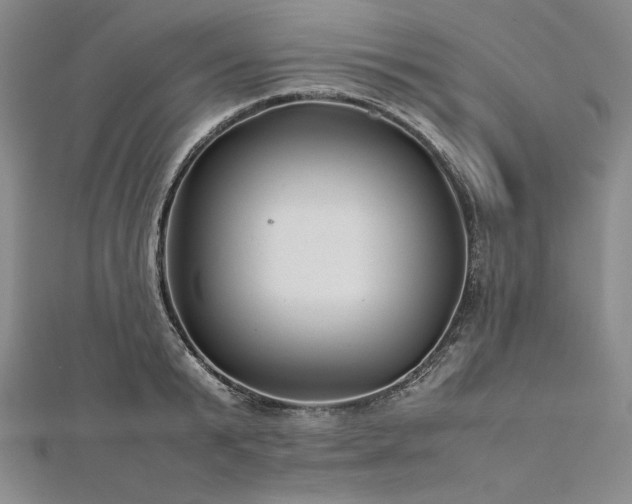 X0000113010799200908271407