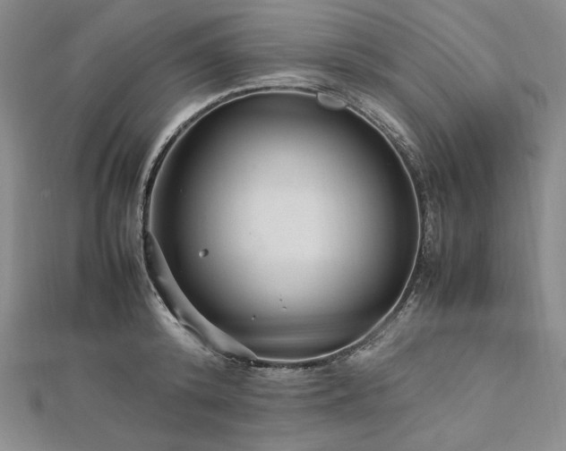 X0000113010800200908271407