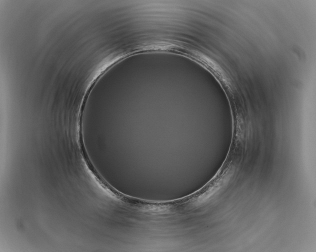 X0000113010802200908271407