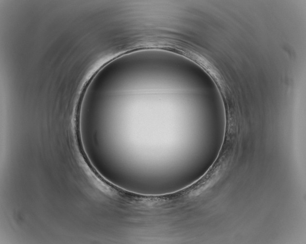 X0000113010803200908271407